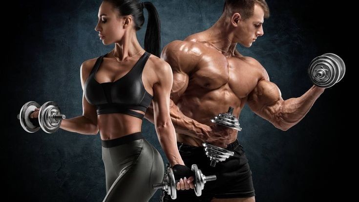 STRENGTH EXERCISE