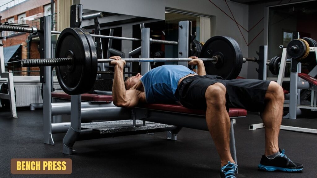 . Bench Press